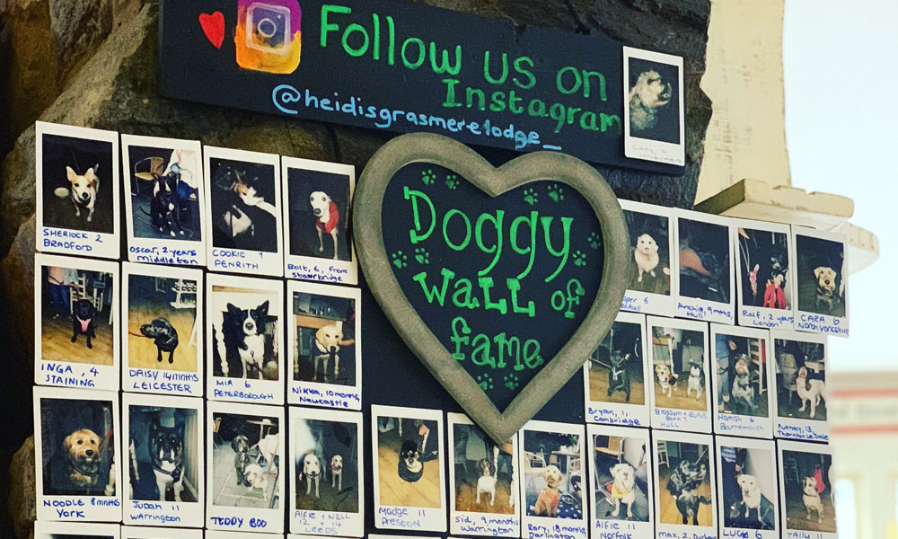 Heidi’s Café Doggy Wall of Fame